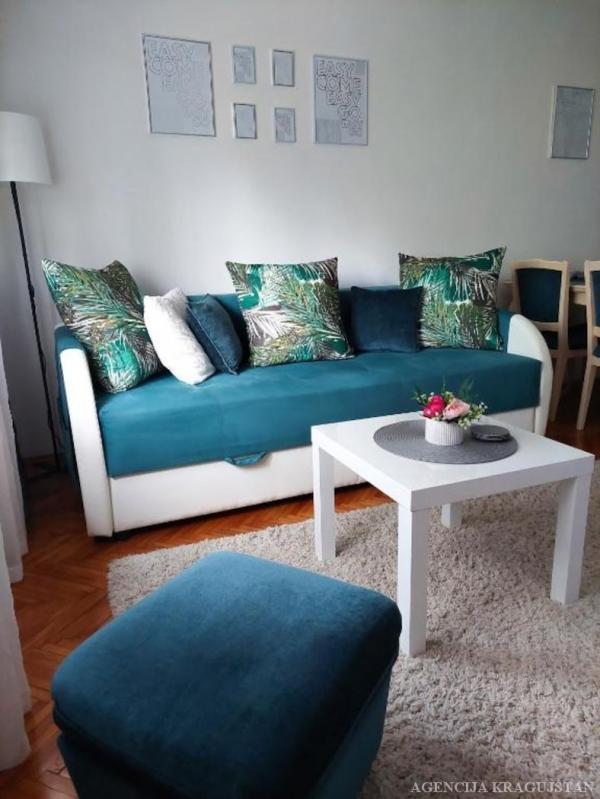 Glavna slika -Dvoiposoban, 52m2, Bubanj Kragujevac