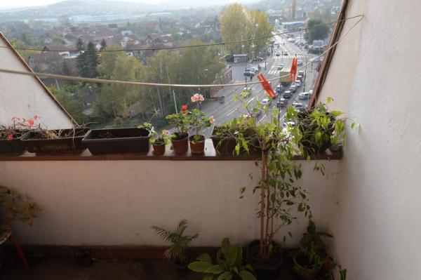 Slika 7 - Prodaje se stan 55mkv, Stanovo Kragujevac