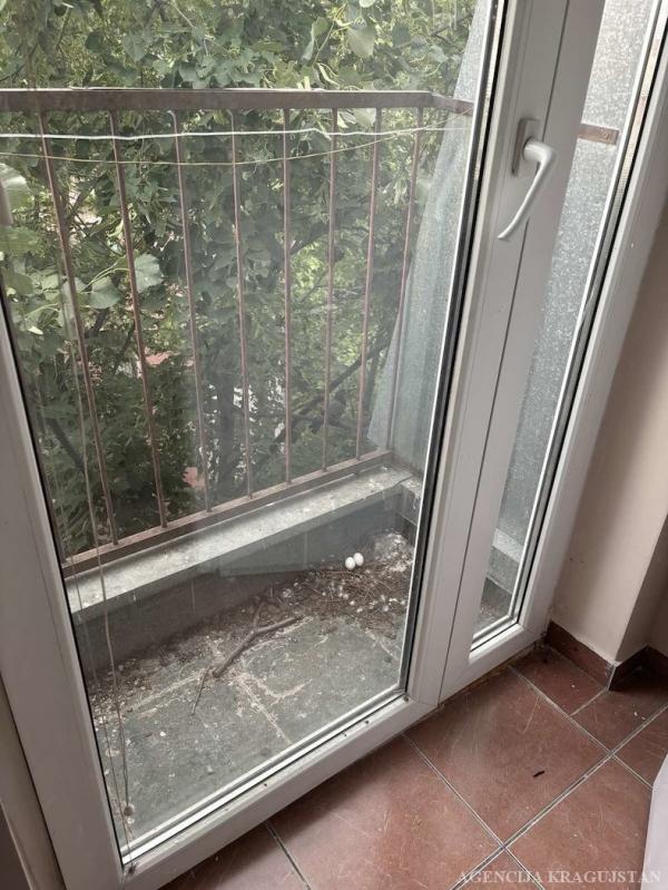 Slika 4 - Prodaja stana, 27m2, Bubanj Kragujevac