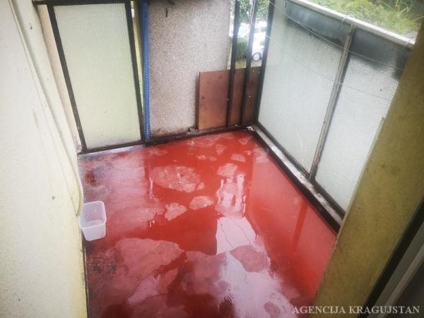 Slika 2 - Dvosoban, 55m2, Erdoglija Kragujevac, sa terasom