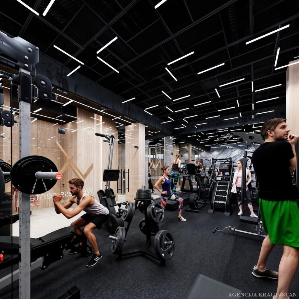 Slika 6 - Jednoiposoban, 46m2, sa terasom, ima lift