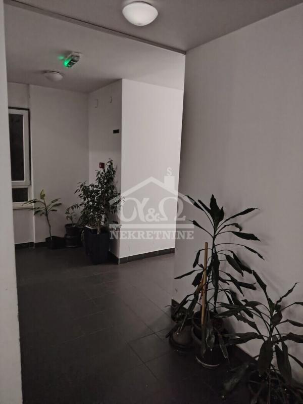 Slika 9 - Dvosoban, 49m2, Stara radnička kolonija Kragujevac, sa terasom, ima lift